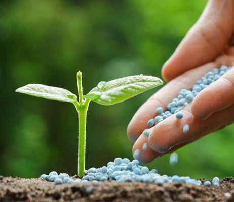 Fertilizers
